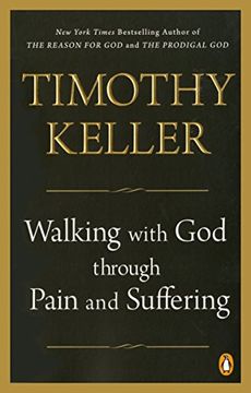 portada Walking With god Through Pain and Suffering (en Inglés)