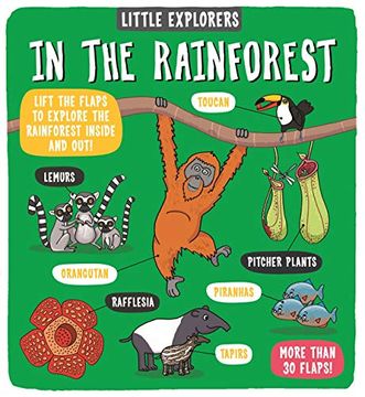 portada Little Explorers: In the Rainforest 