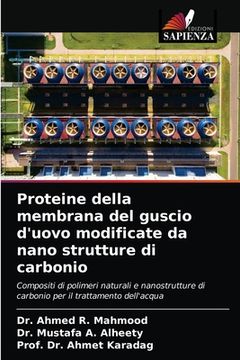 portada Proteine della membrana del guscio d'uovo modificate da nano strutture di carbonio (en Italiano)