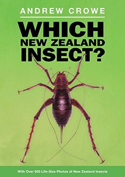 portada Which new Zealand Insect? (en Inglés)