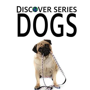 portada Dogs: Discover Series Picture Book for Children (in English)