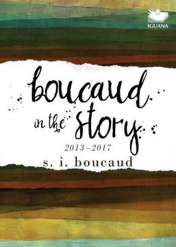 portada Boucaud in the Story: 2013-2017