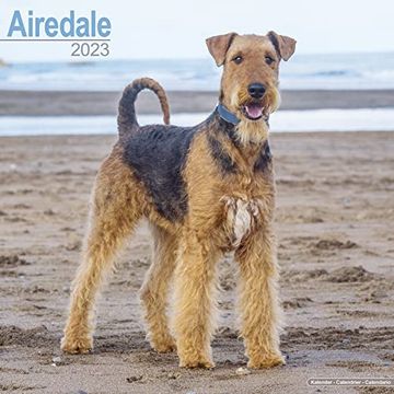 Comprar Airedale Calendar - Airedale Terrier Calendar - dog Breed