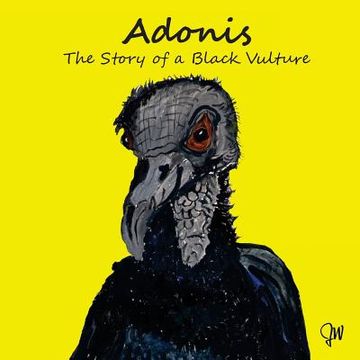 portada Adonis The Story Of A Black Vulture (en Inglés)