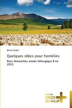 portada Quelques Idées Pour Homélies: Pour Dimanches Année Lithurgique b en 2015 (in French)