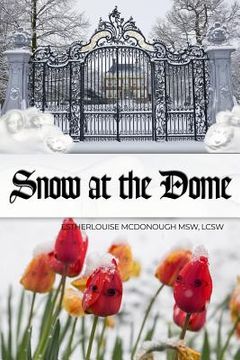 portada Snow at the Dome (in English)
