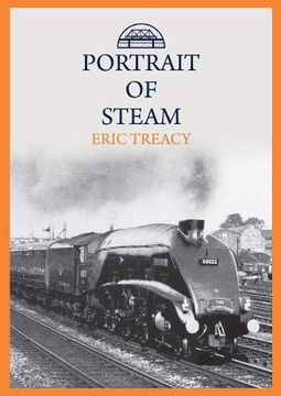 portada Portrait of Steam 