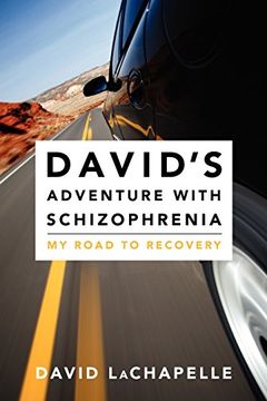 portada David's Adventure With Schizophrenia: My Road to Recovery (David's Trilogy With Schizophrenia) (en Inglés)