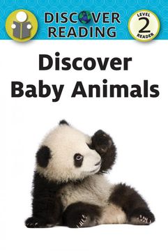 portada Discover Baby Animals (in English)