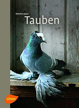portada Tauben (in German)