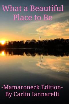portada What a Beautiful Place to Be: Mamaroneck Edition (en Inglés)