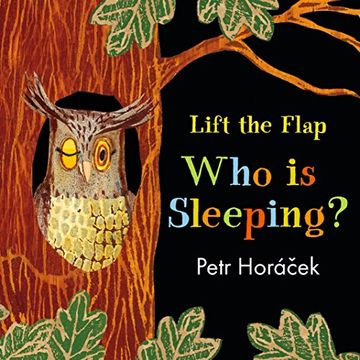 portada Who is Sleeping? (a Lift the Flap Book) (in English)
