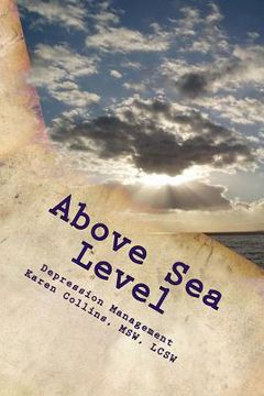 portada Above Sea Level: Manage Depression (en Inglés)