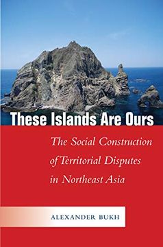 portada These Islands are Ours: The Social Construction of Territorial Disputes in Northeast Asia (Studies in Asian Security) (en Inglés)