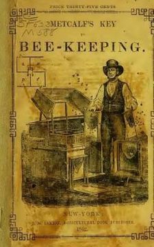 portada Metcalf's Key to Beekeeping: Most Profitable Method of Managing Bees (in English)