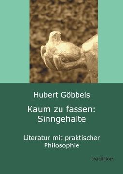 portada Kaum zu fassen: Sinngehalte