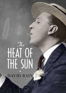 portada the heat of the sun. david rain (en Inglés)