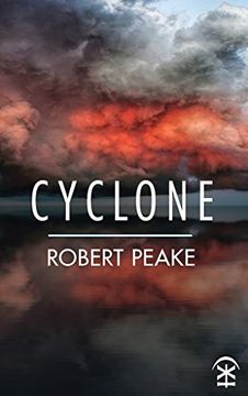 portada Cyclone (en Inglés)