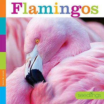portada Seedlings: Flamingos