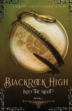 portada Blackrock High: Into the Night (The Blackrock High Trilogy: Book One) (en Inglés)