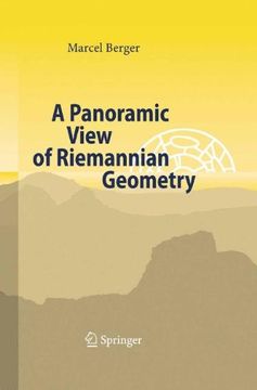 portada A Panoramic View of Riemannian Geometry