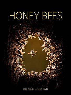portada Honey Bees (en Inglés)