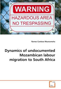 portada Dynamics of Undocumented Mozambican Labour Migration to South Africa (en Alemán)