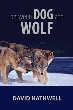 portada Between Dog and Wolf (en Inglés)