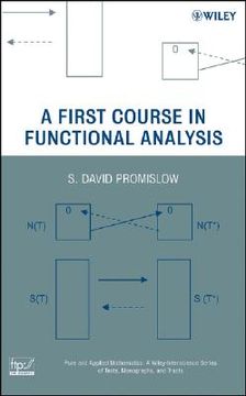 a first course in functional analysis
