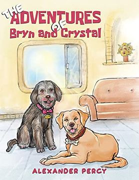 portada The Adventures of Bryn and Crystal (en Inglés)