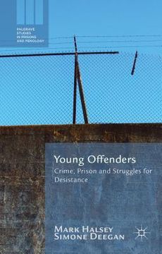 portada Young Offenders: Crime, Prison and Struggles for Desistance (in English)