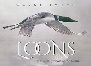 portada Loons: Treasured Symbols of the North (in English)