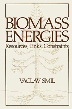 portada Biomass Energies: Resources, Links, Constraints (Institute for Amorphous Studies Series) (in English)