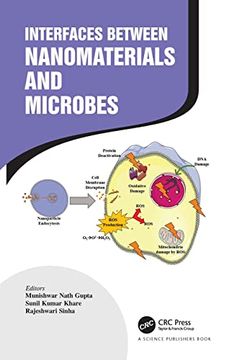 portada Interfaces Between Nanomaterials and Microbes (in English)