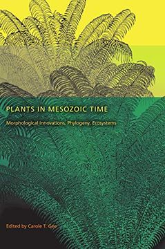 portada Plants in Mesozoic Time: Morphological Innovations, Phylogeny, Ecosystems (Life of the Past) (in English)