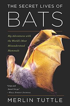 portada The Secret Lives of Bats: My Adventures With the World's Most Misunderstood Mammals (in English)