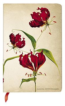portada Painted Botanicals Gloriosa Lily Mini (en Inglés)