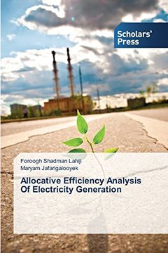 portada Allocative Efficiency Analysis of Electricity Generation