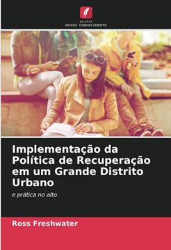 portada Implementação da Política de Recuperação em um Grande Distrito Urbano: E Prática no Alto (en Portugués)