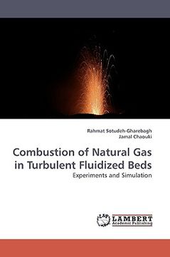 portada combustion of natural gas in turbulent fluidized beds (en Inglés)