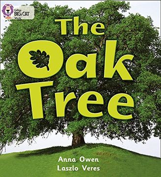 portada The Oak Tree: Red B/Band 2b (in English)