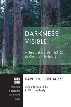 portada Darkness Visible (Princeton Theological Monograph)