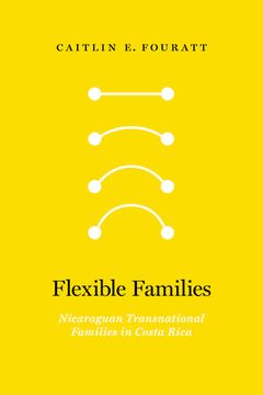 portada Flexible Families: Nicaraguan Transnational Families in Costa Rica (en Inglés)