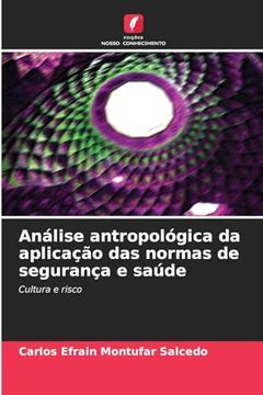portada Análise Antropológica da Aplicação das Normas de Segurança e Saúde (en Portugués)