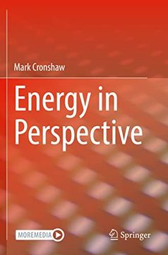 portada Energy in Perspective (en Inglés)