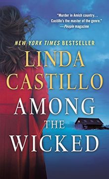 portada Among the Wicked: A Kate Burkholder Novel (en Inglés)