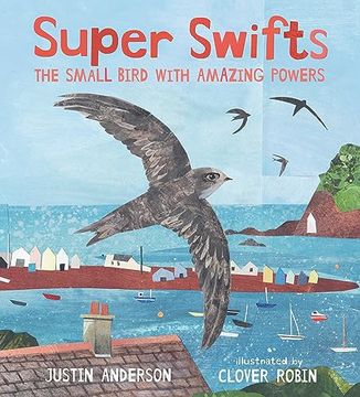 portada Super Swifts: The Small Bird With Amazing Powers