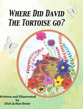 portada Where Did David The Tortoise Go?: The Story of a Lost Pet (en Inglés)
