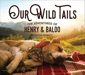 portada Our Wild Tails: The Adventures of Henry and Baloo (in English)