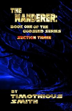 portada The Wanderer: Book One of the Godsend Series Section 3 (en Inglés)